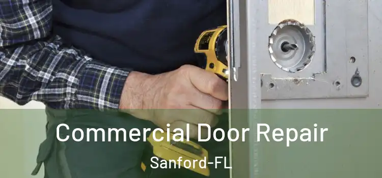  Commercial Door Repair Sanford-FL