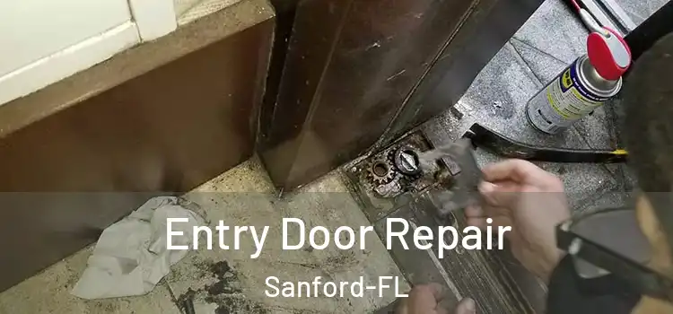 Entry Door Repair Sanford-FL