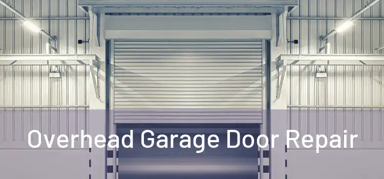  Overhead Garage Door Repair 